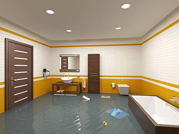 Best Wood Floor Water Damage Restoration in Orangevale, CA